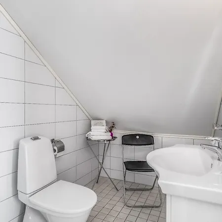 Gasthuis Opsahl Gjestegaard 3*